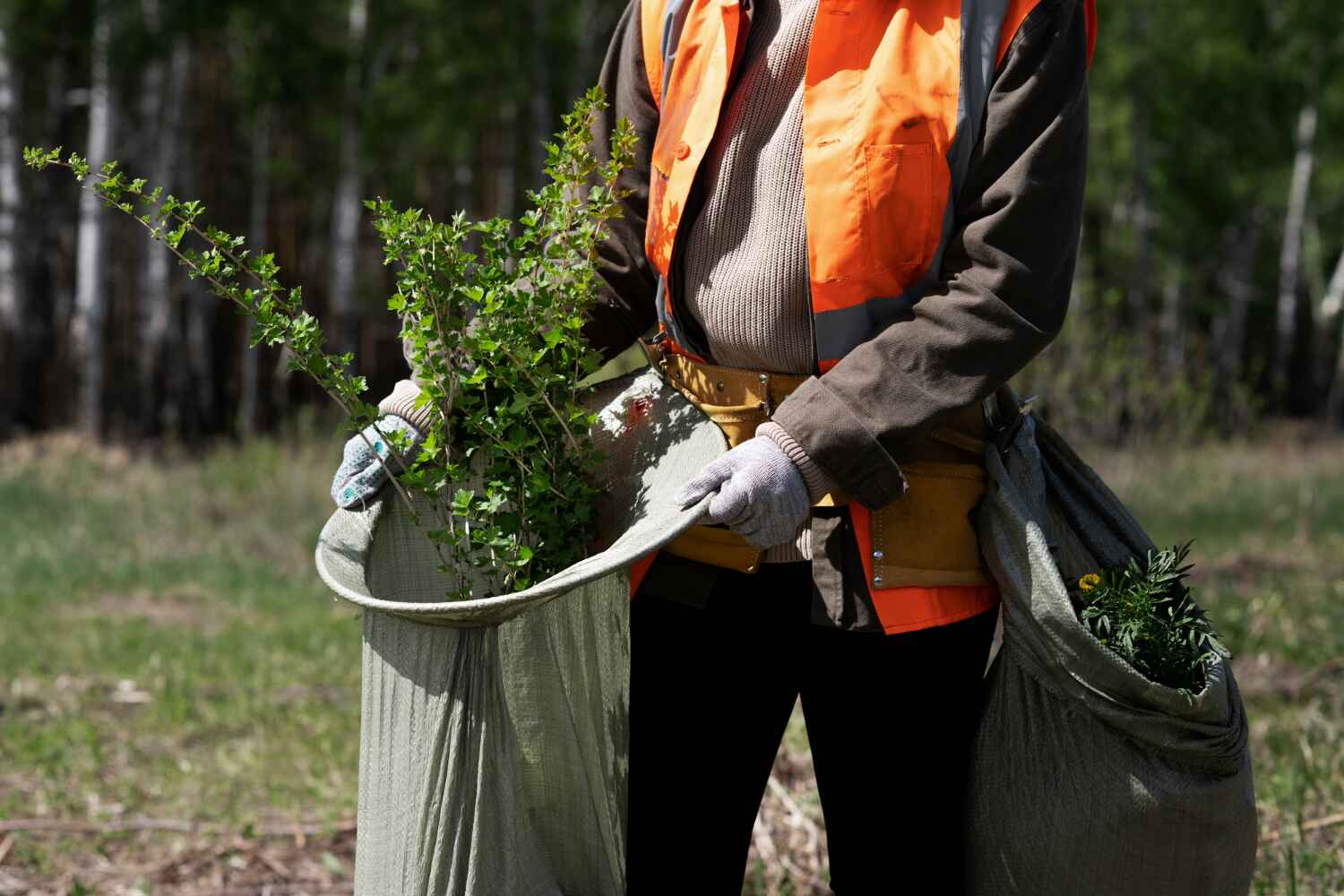 Professional Tree Service in South Palm Beach, FL